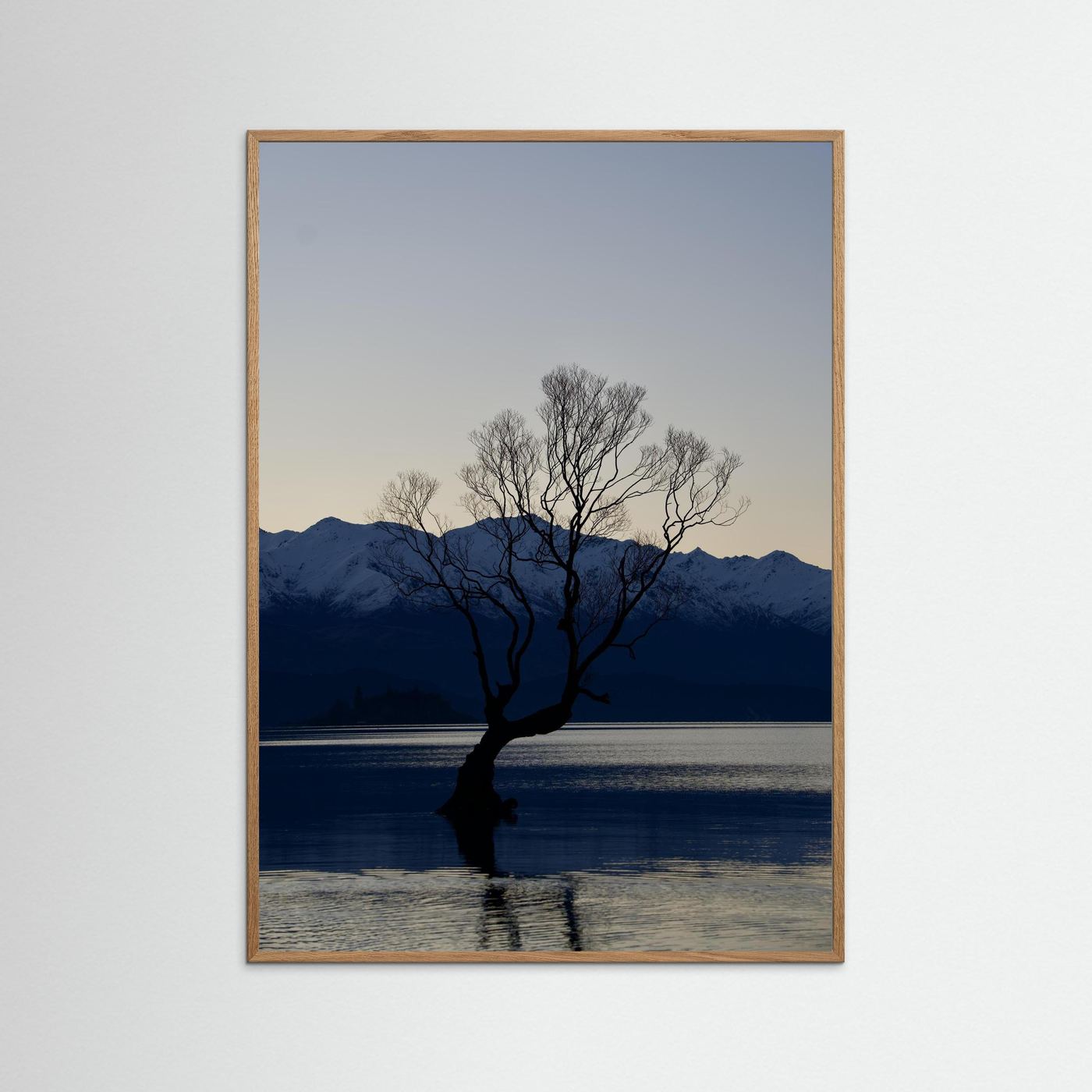 That Wānaka Tree