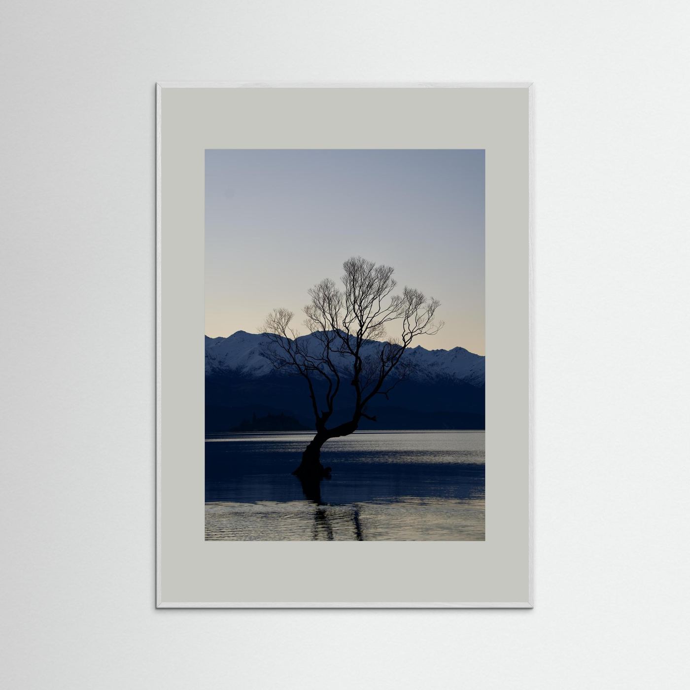 That Wānaka Tree