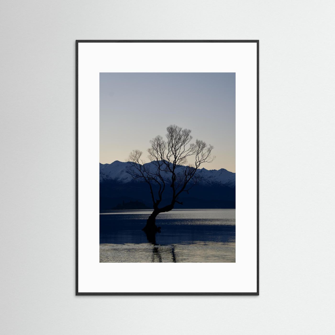 That Wānaka Tree