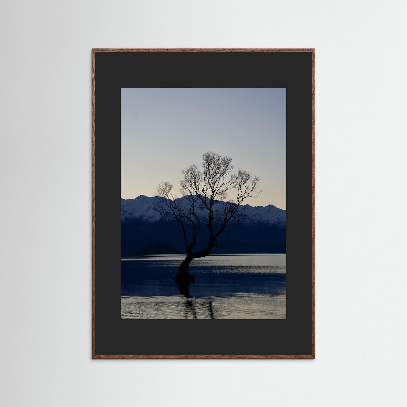 That Wānaka Tree