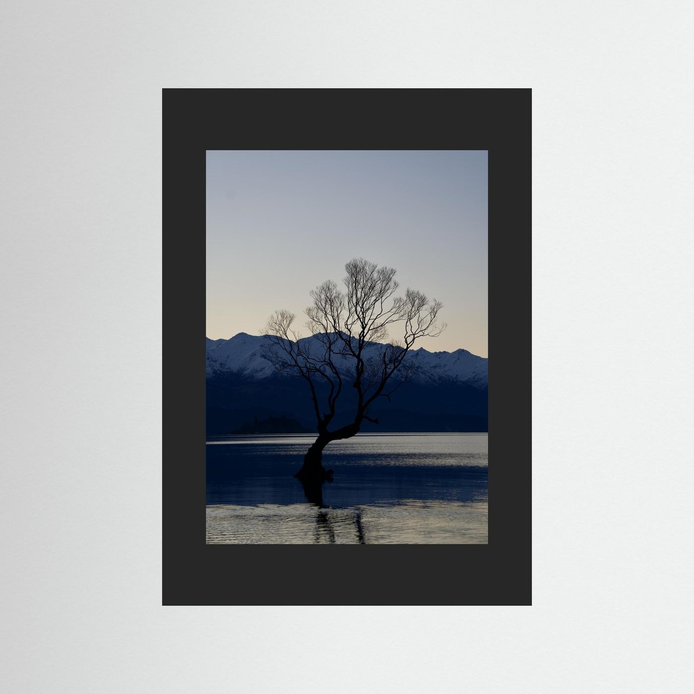That Wānaka Tree