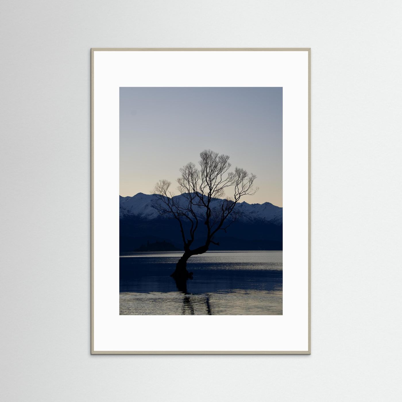 That Wānaka Tree