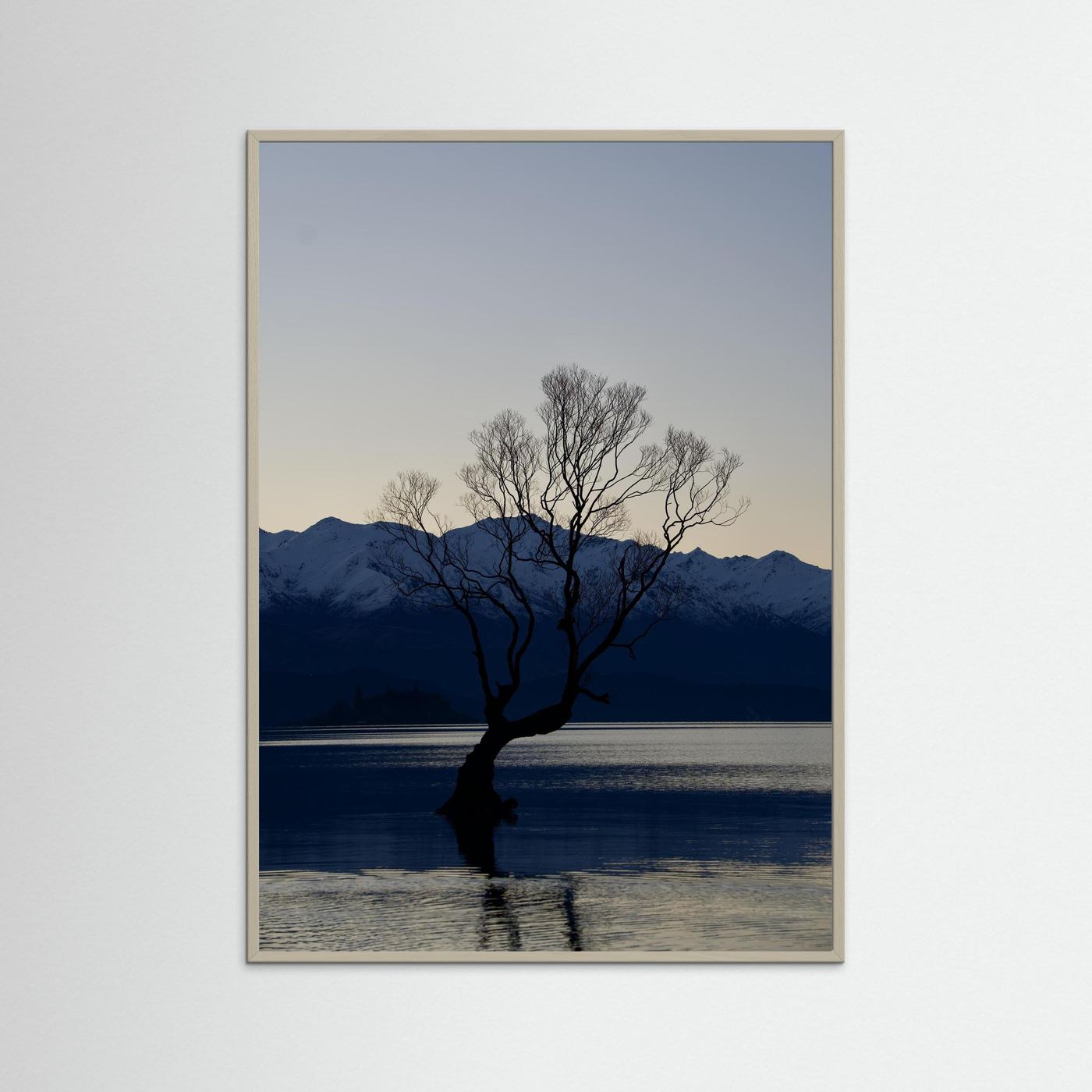 That Wānaka Tree