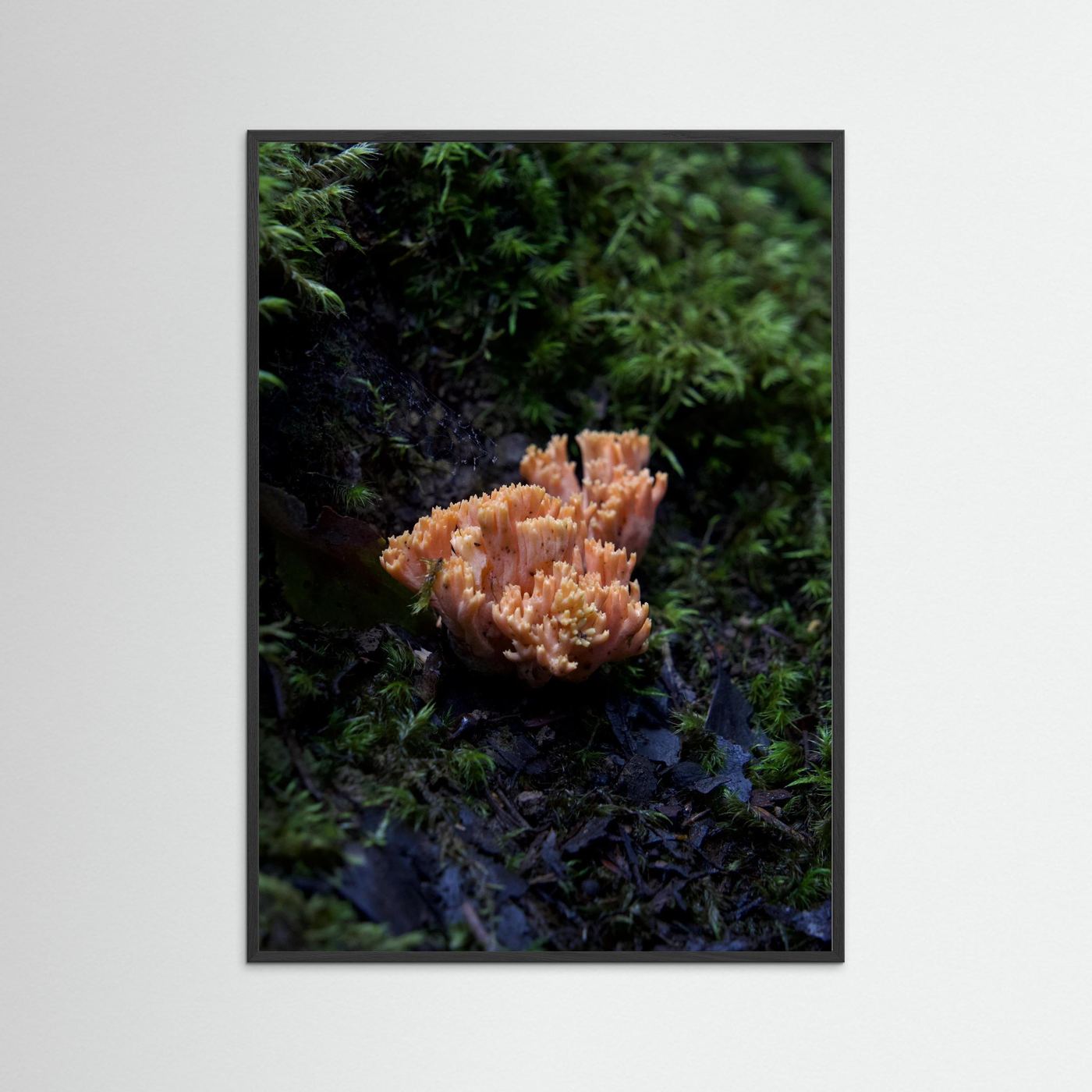 Ramaria