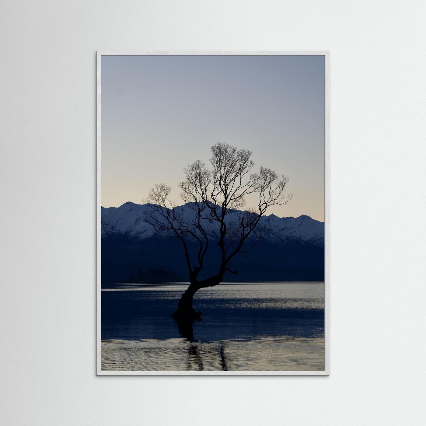 That Wānaka Tree