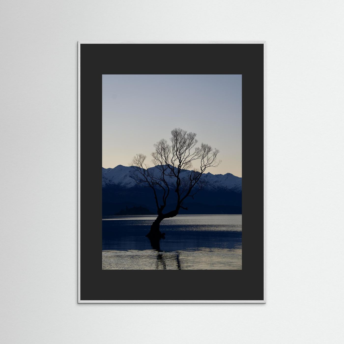 That Wānaka Tree