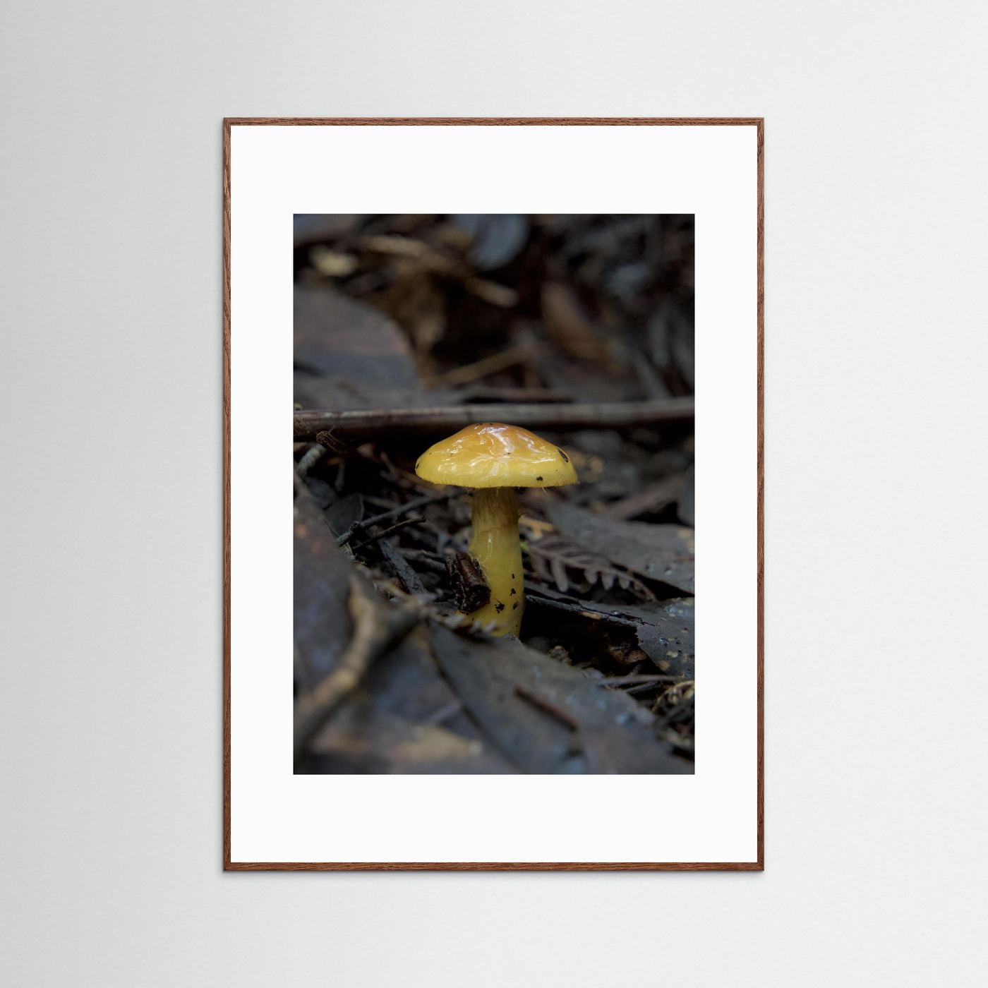 Yellow Waxcap