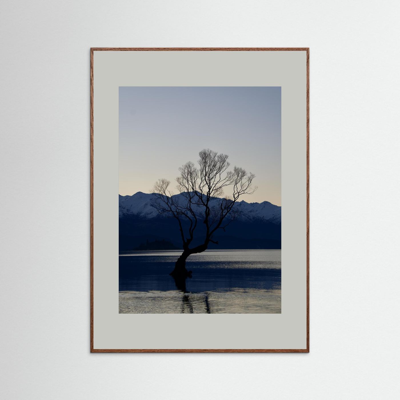 That Wānaka Tree