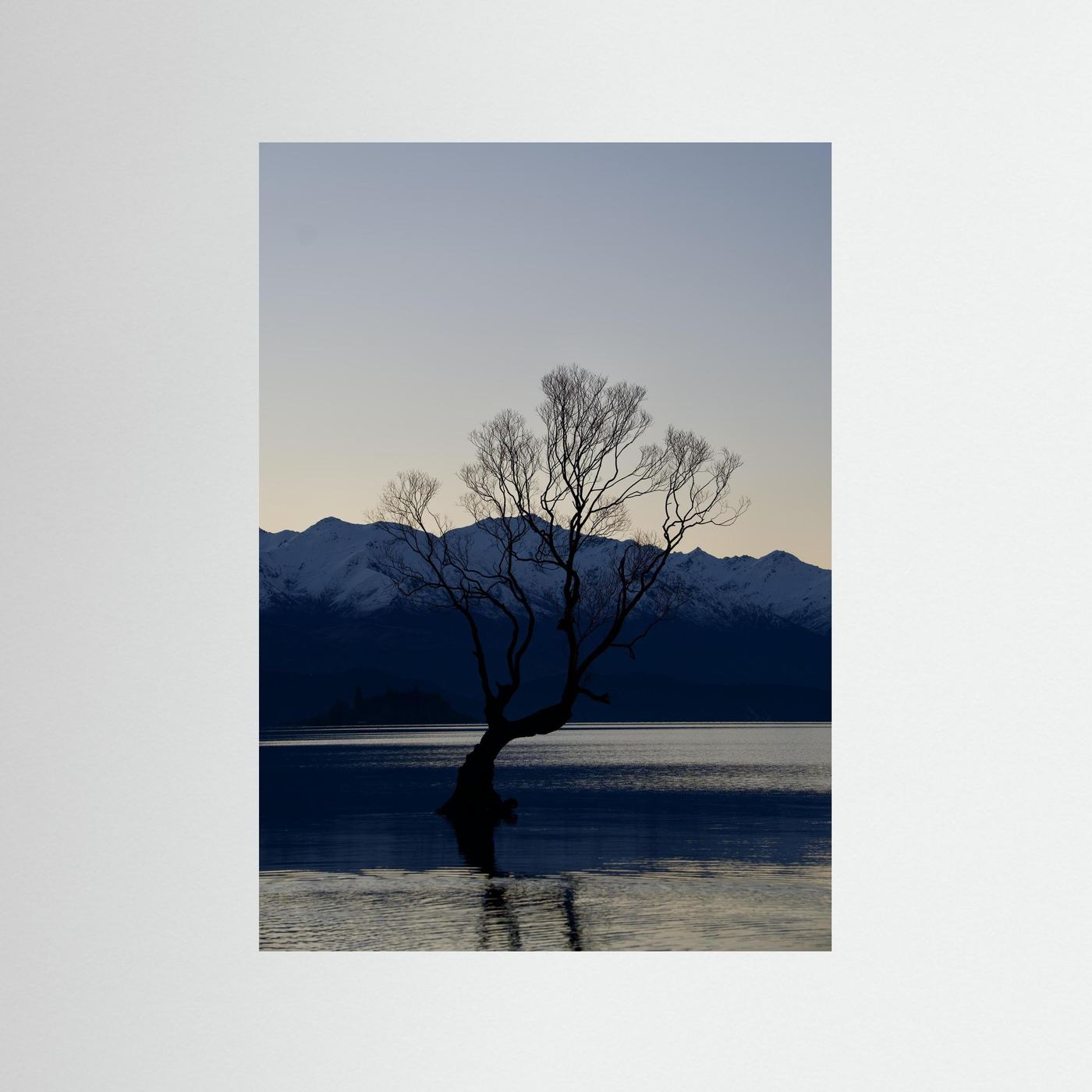 That Wānaka Tree