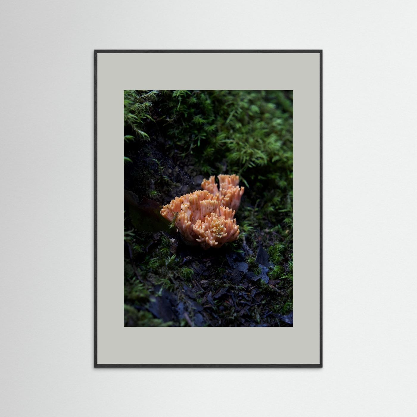 Ramaria