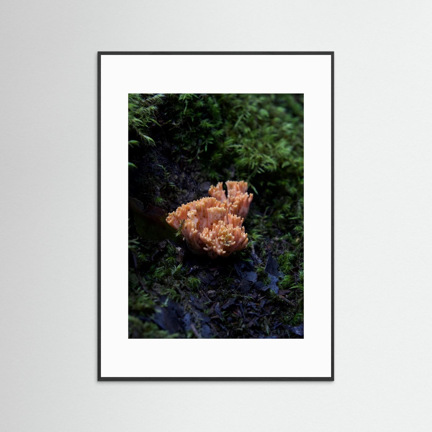 Ramaria