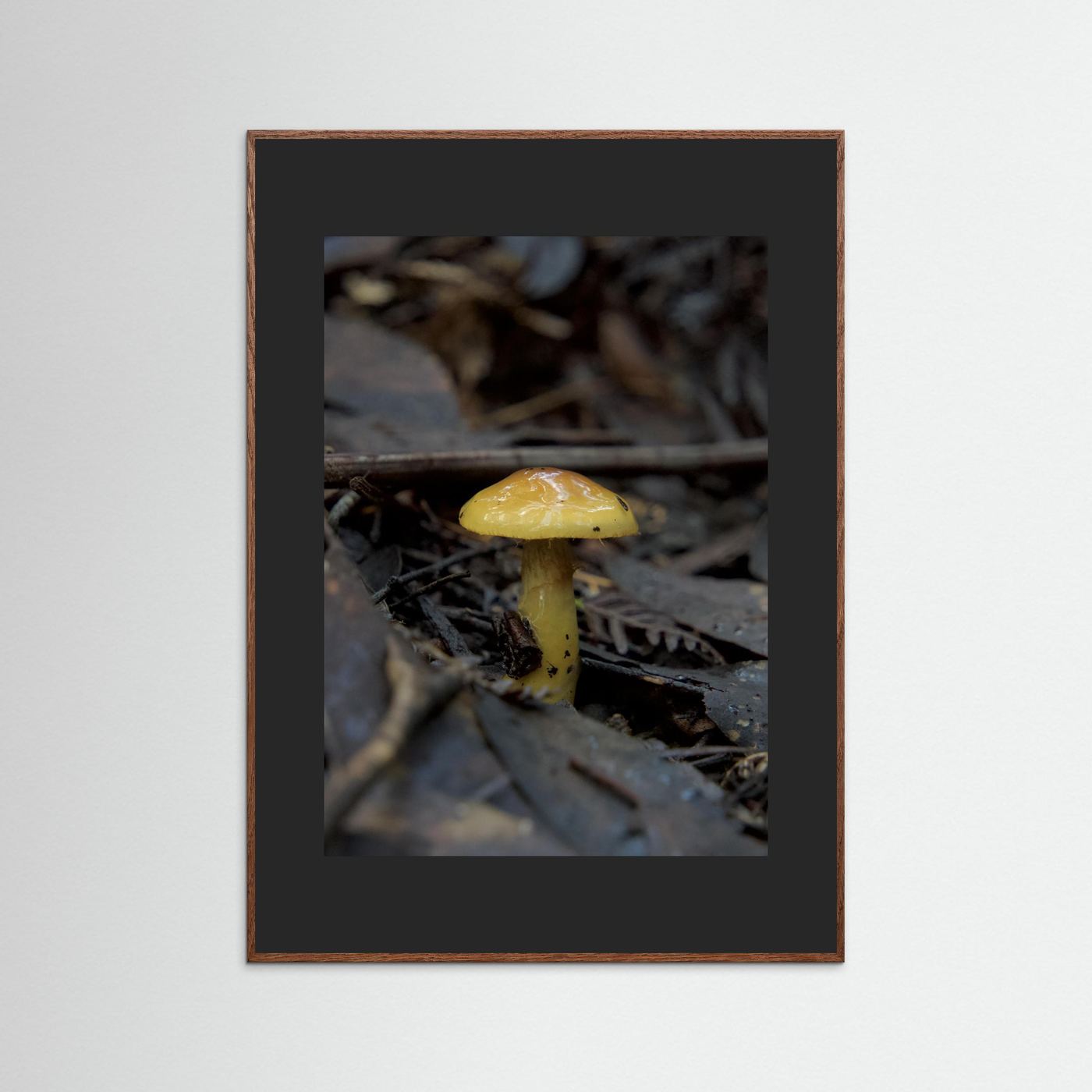 Yellow Waxcap