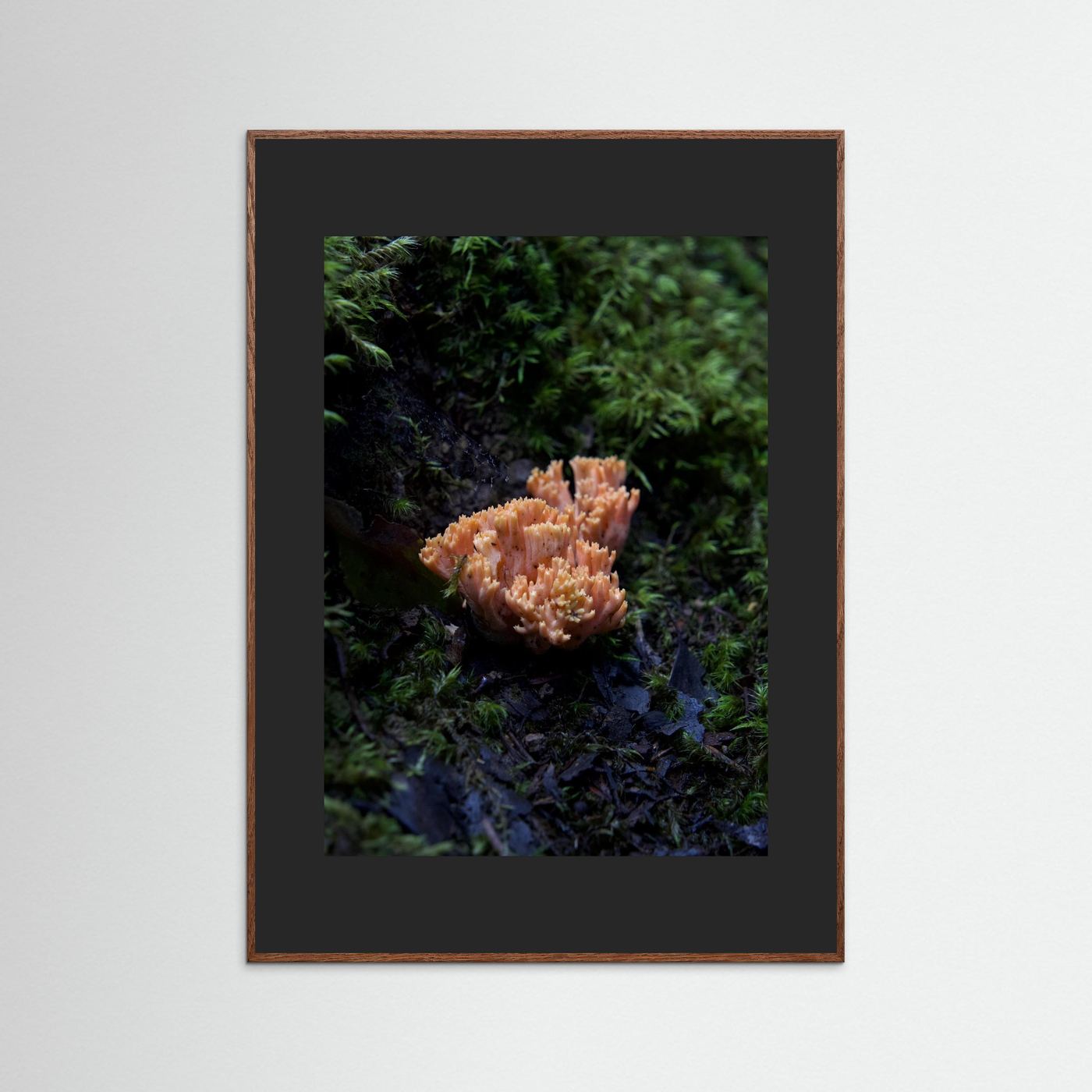 Ramaria